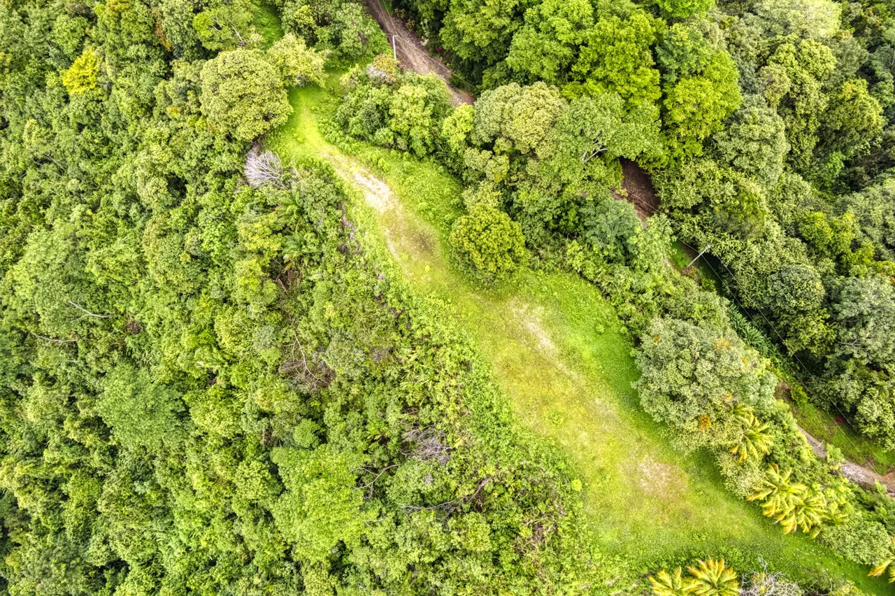 LOT 4 WITH A LARGE BUILDING AREA AND MOUNTAIN VIEWS, IN TRES RÍOS, photo 20