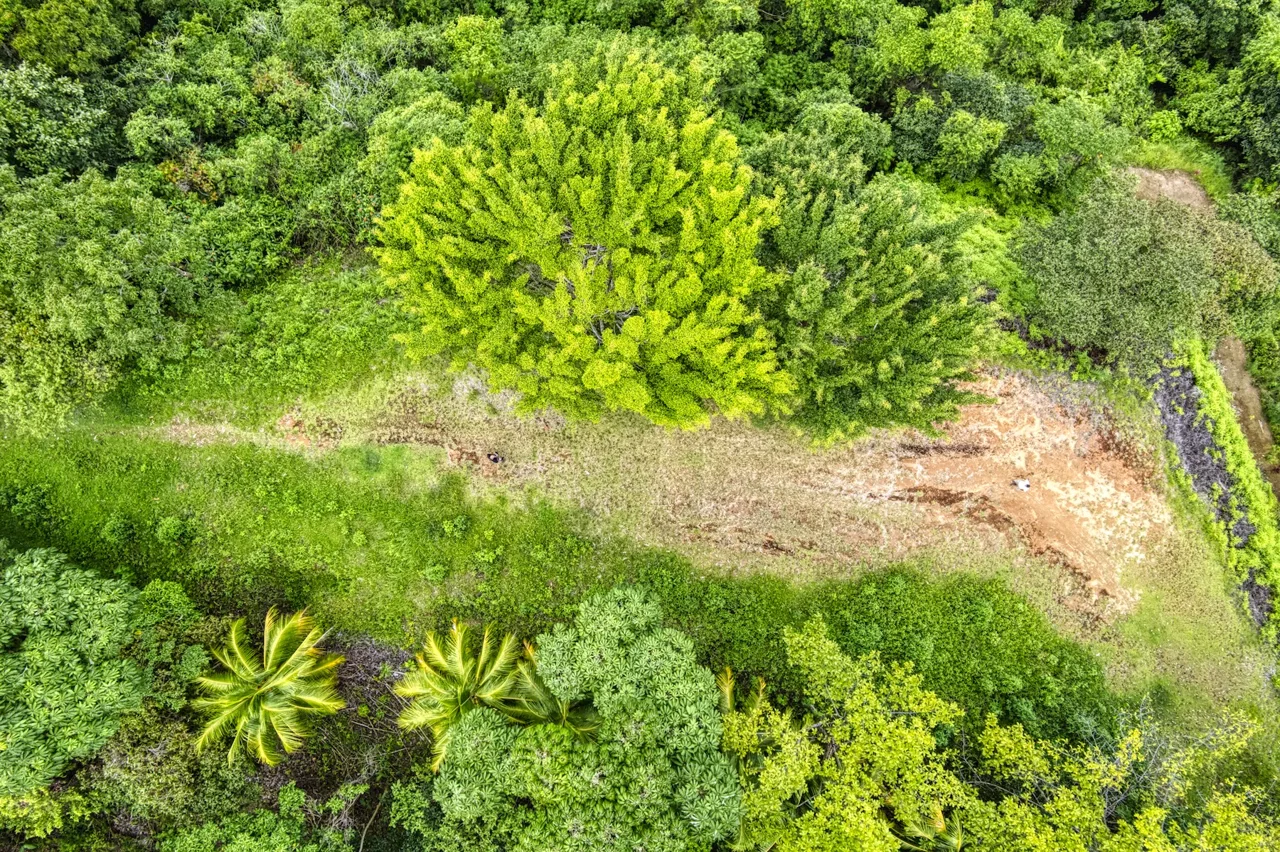 LOT 4 WITH A LARGE BUILDING AREA AND MOUNTAIN VIEWS, IN TRES RÍOS, photo 3