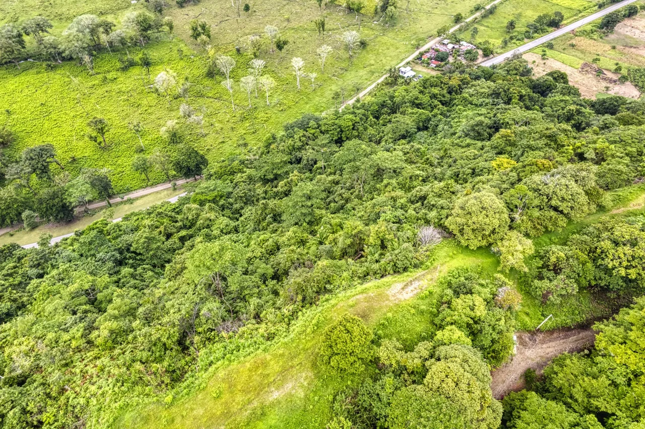 LOT 4 WITH A LARGE BUILDING AREA AND MOUNTAIN VIEWS, IN TRES RÍOS, photo 22