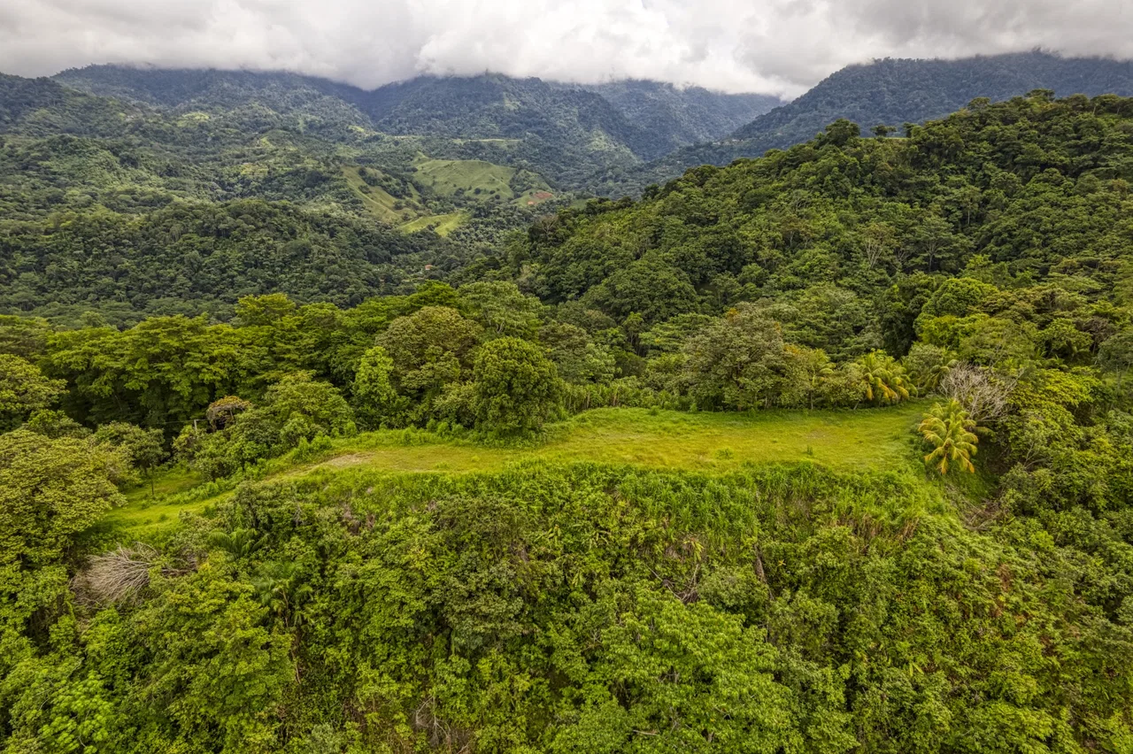 LOT 4 WITH A LARGE BUILDING AREA AND MOUNTAIN VIEWS, IN TRES RÍOS, photo 4