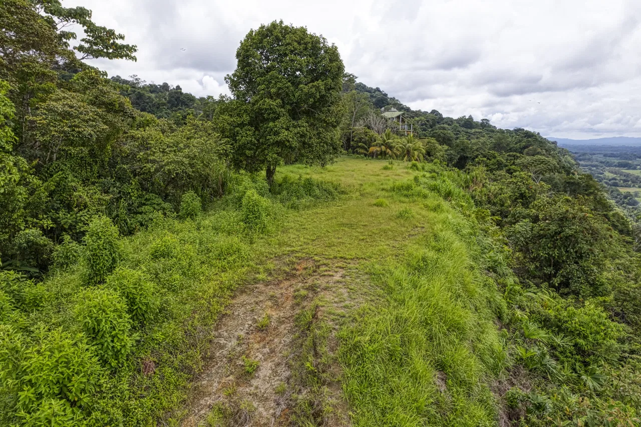 LOT 4 WITH A LARGE BUILDING AREA AND MOUNTAIN VIEWS, IN TRES RÍOS, photo 5
