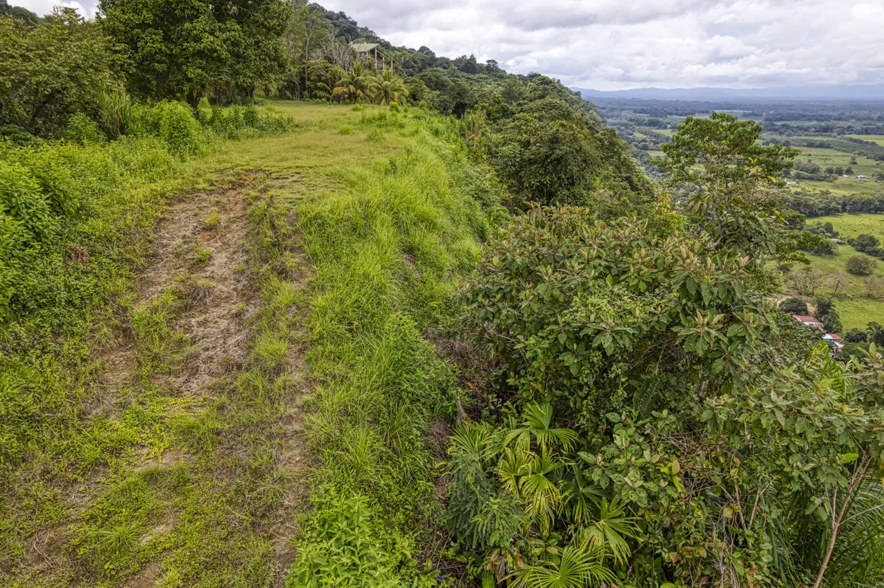 LOT 4 WITH A LARGE BUILDING AREA AND MOUNTAIN VIEWS, IN TRES RÍOS, photo 6