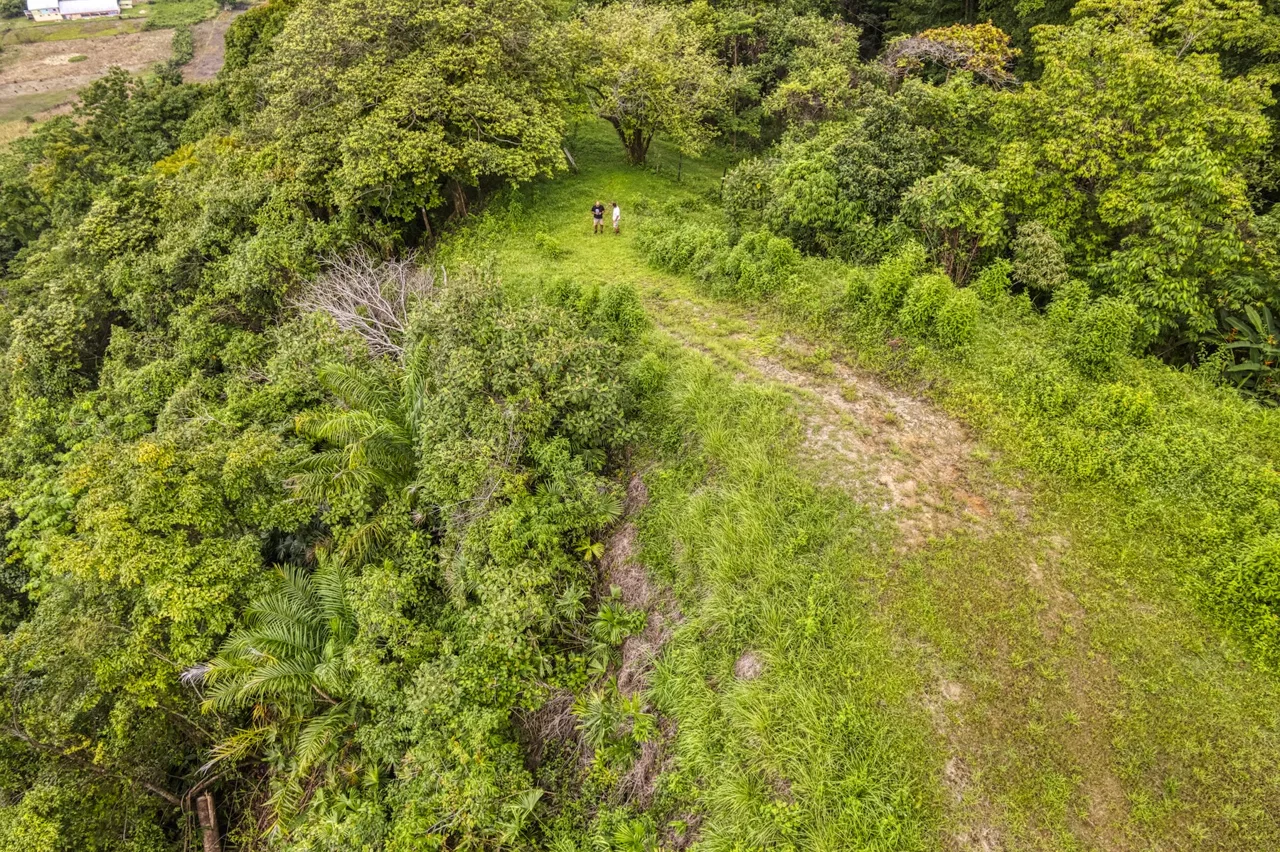 LOT 4 WITH A LARGE BUILDING AREA AND MOUNTAIN VIEWS, IN TRES RÍOS, photo 7