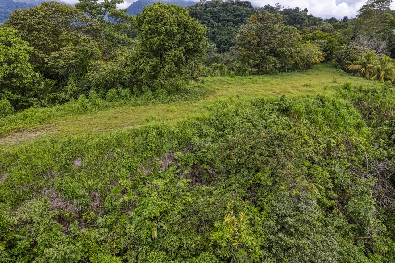 LOT 4 WITH A LARGE BUILDING AREA AND MOUNTAIN VIEWS, IN TRES RÍOS, photo 8