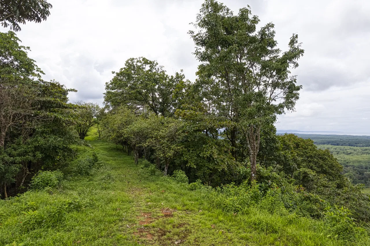 LOT 4 WITH A LARGE BUILDING AREA AND MOUNTAIN VIEWS, IN TRES RÍOS, photo 10