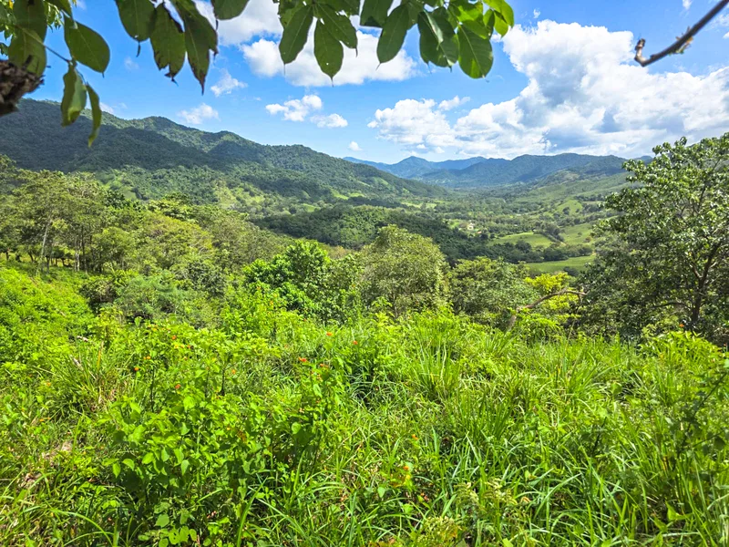 Land For Sale in Playa Carrillo, photo 2