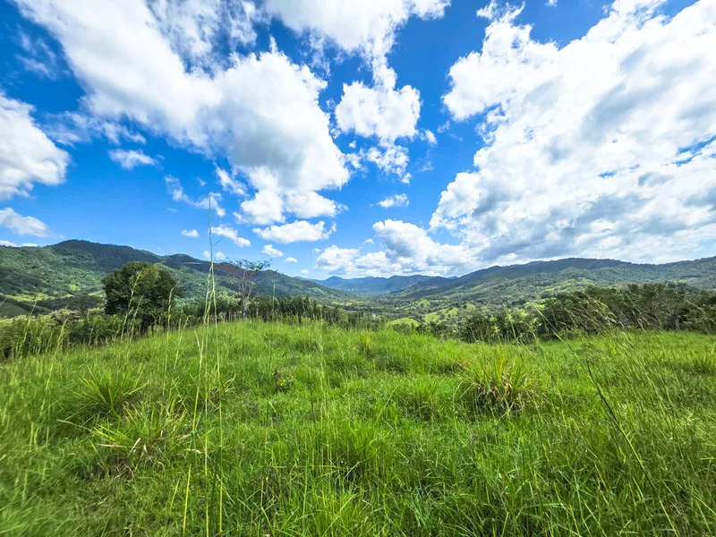 Land For Sale in Playa Carrillo, photo 11
