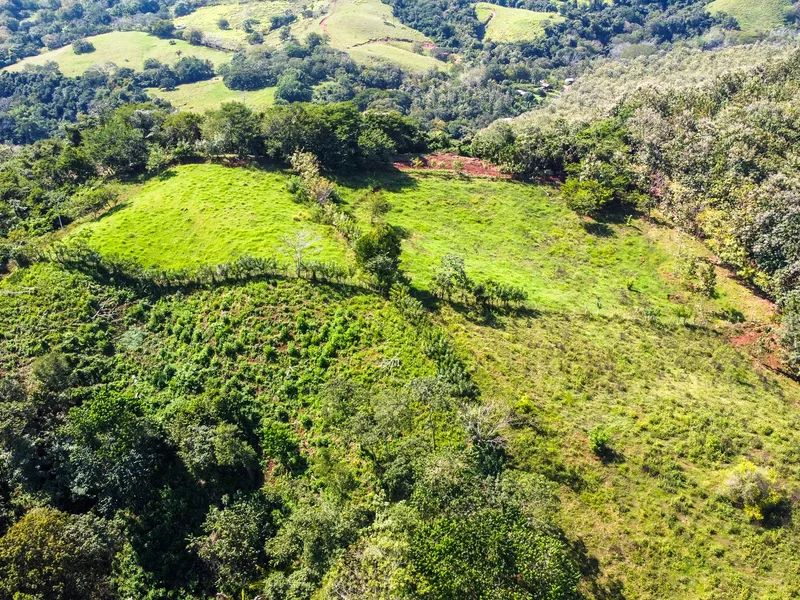 Land For Sale in Playa Carrillo, photo 4