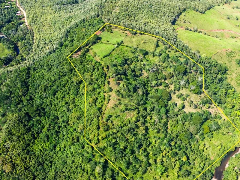 Land For Sale in Playa Carrillo, photo 5