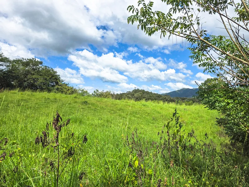 Land For Sale in Playa Carrillo, photo 6
