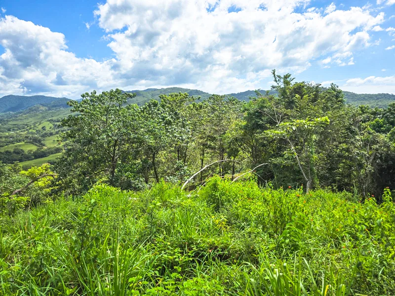 Land For Sale in Playa Carrillo, photo 7