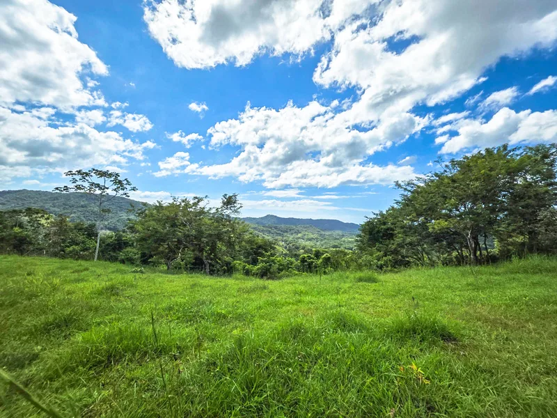 Land For Sale in Playa Carrillo, photo 8