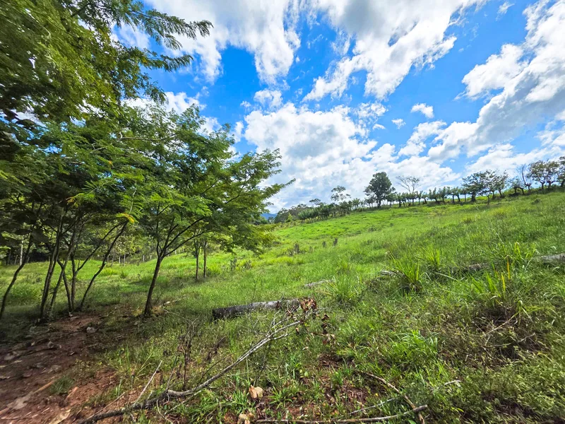 Land For Sale in Playa Carrillo, photo 10