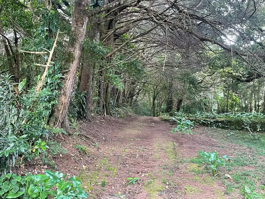 One of the most sought-after and attractive areas in San Rafael de Heredia: El Tirol. It boasts a cool, pleasant mountain climate and is surrounded by peace, nature, and tranquility. ...