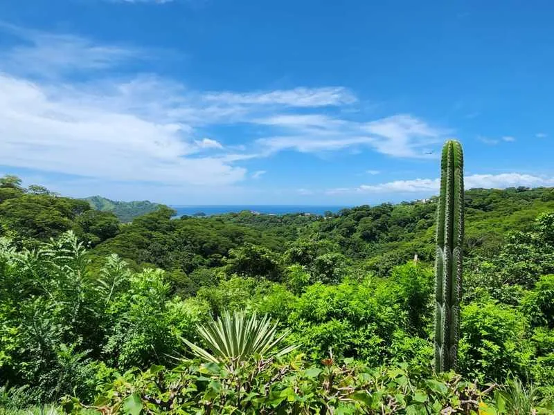 2 Bed Condo For Sale in Playas Del Coco, photo 8