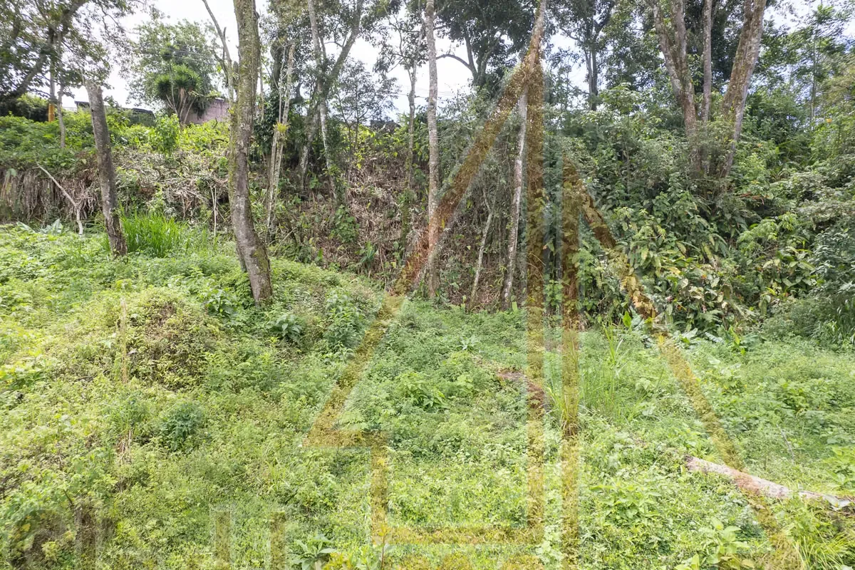 Lot for sale in Tres Ríos | 1286 m2 | IDEAL FOR APARTMENTS | F 667, photo 11