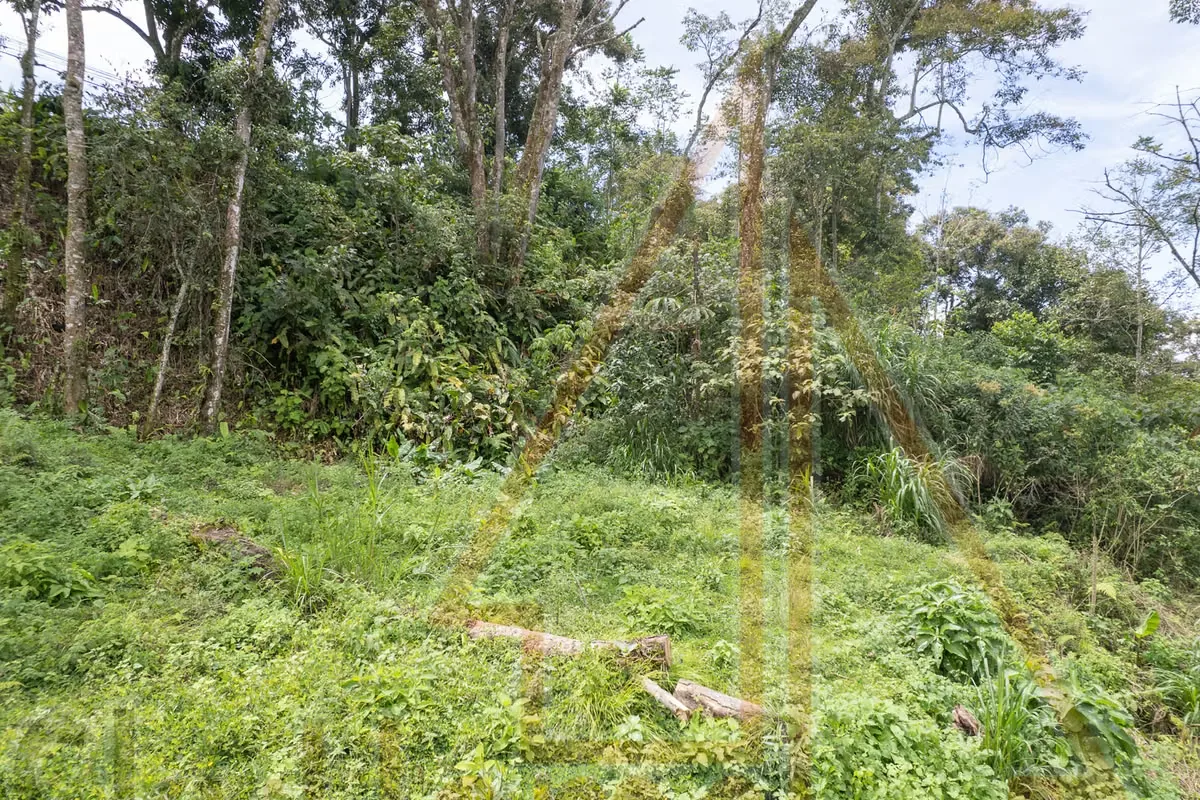 Lot for sale in Tres Ríos | 1286 m2 | IDEAL FOR APARTMENTS | F 667, photo 13
