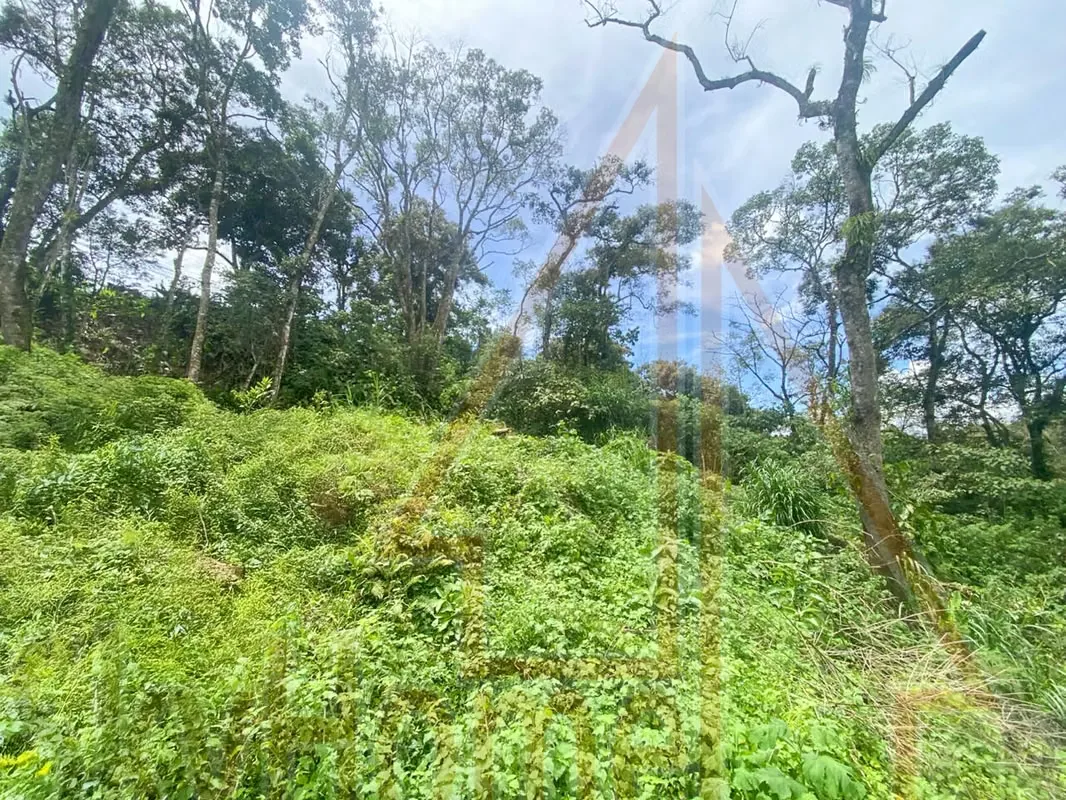 Lot for sale in Tres Ríos | 1286 m2 | IDEAL FOR APARTMENTS | F 667, photo 14