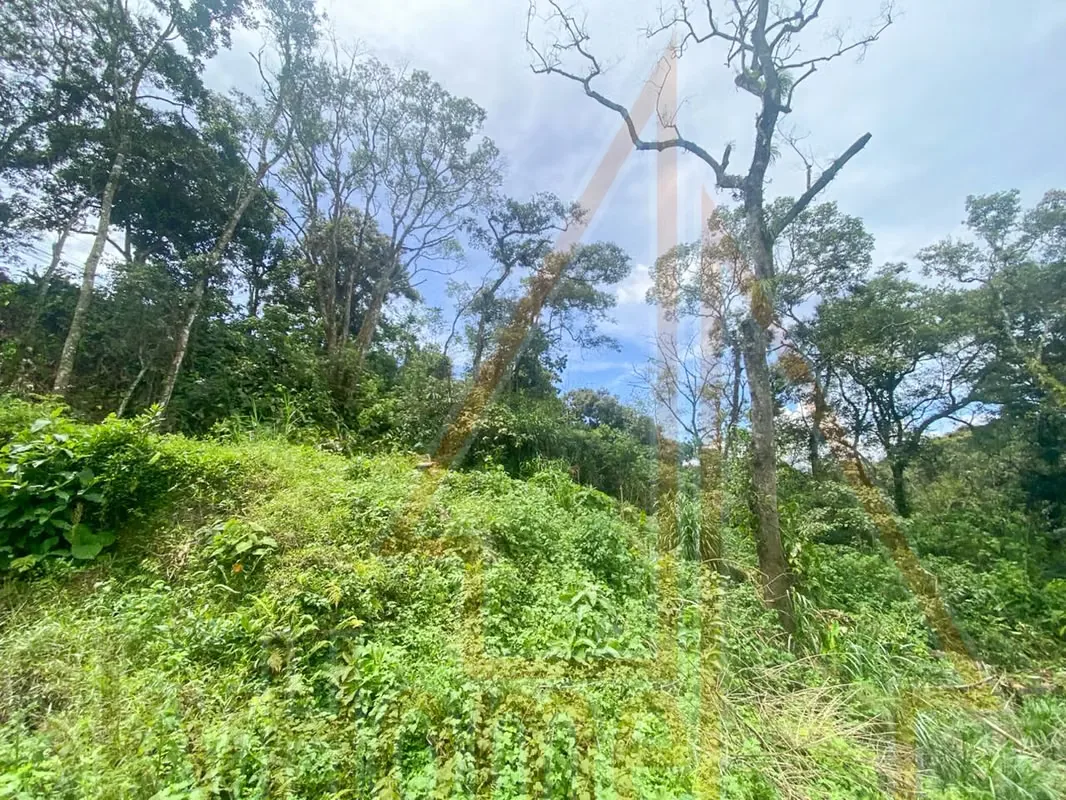 Lot for sale in Tres Ríos | 1286 m2 | IDEAL FOR APARTMENTS | F 667, photo 15