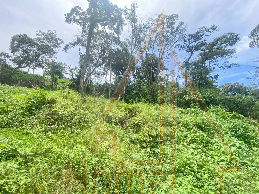 Lot for sale in Tres Ríos | 1286 m2 | IDEAL FOR APARTMENTS | F 667, photo 16