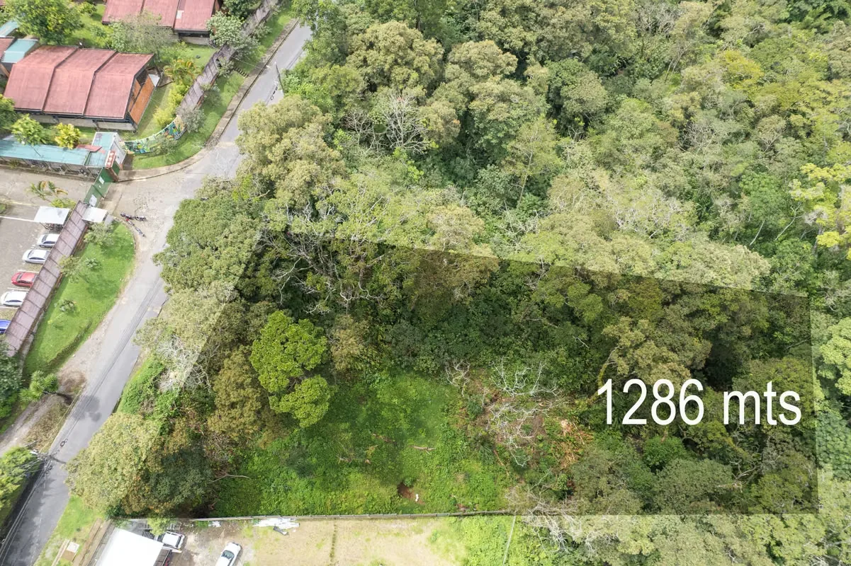 Lot for sale in Tres Ríos | 1286 m2 | IDEAL FOR APARTMENTS | F 667, photo 6