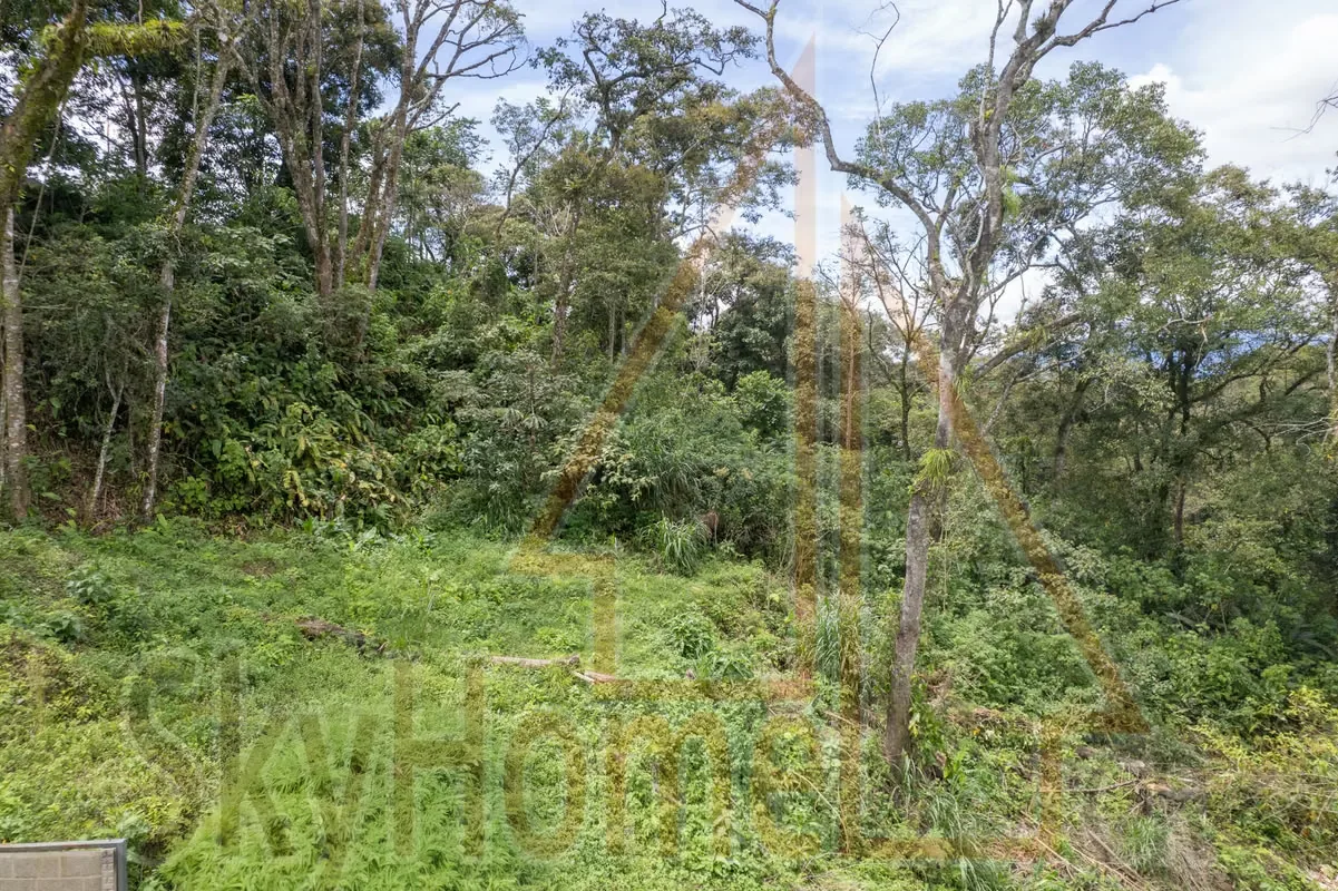 Lot for sale in Tres Ríos | 1286 m2 | IDEAL FOR APARTMENTS | F 667, photo 10