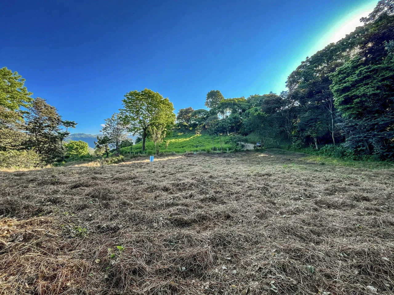 EXCEPTIONAL MOUNTAIN VIEW LOT READY TO BUILD – PRIME OPPORTUNITY NEAR DOMINICAL – 7 ACRES