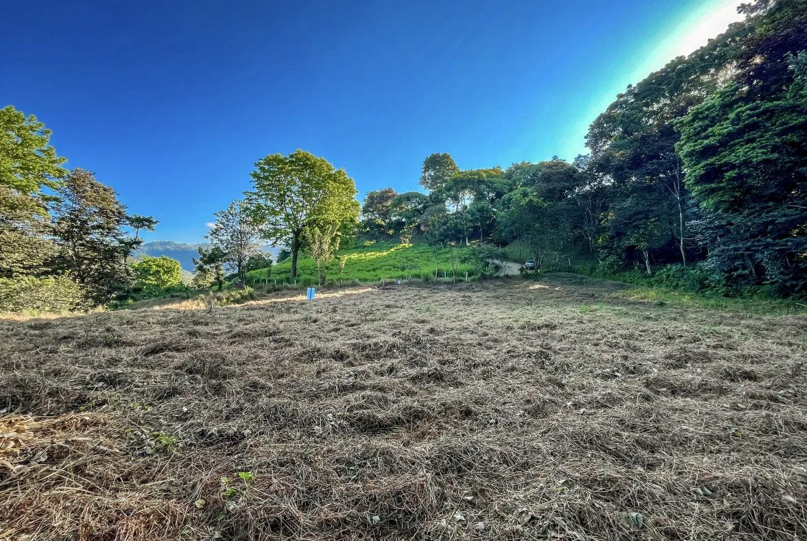 EXCEPTIONAL MOUNTAIN VIEW LOT READY TO BUILD – PRIME OPPORTUNITY NEAR DOMINICAL – 7 ACRES, photo 2