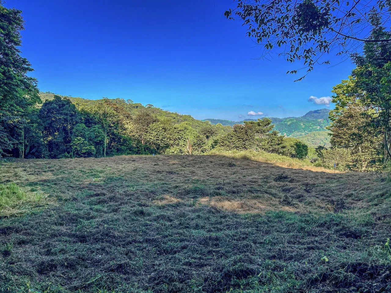 EXCEPTIONAL MOUNTAIN VIEW LOT READY TO BUILD – PRIME OPPORTUNITY NEAR DOMINICAL – 7 ACRES, photo 11