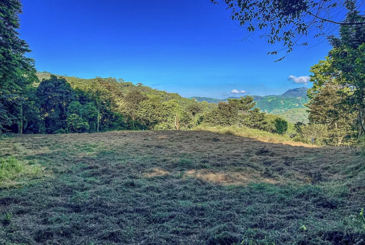 EXCEPTIONAL MOUNTAIN VIEW LOT READY TO BUILD – PRIME OPPORTUNITY NEAR DOMINICAL – 7 ACRES, photo 12