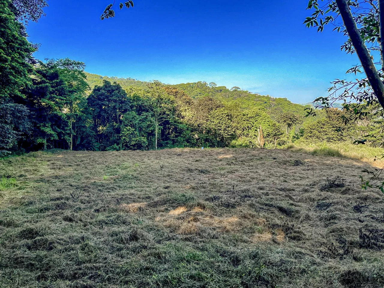 EXCEPTIONAL MOUNTAIN VIEW LOT READY TO BUILD – PRIME OPPORTUNITY NEAR DOMINICAL – 7 ACRES, photo 19