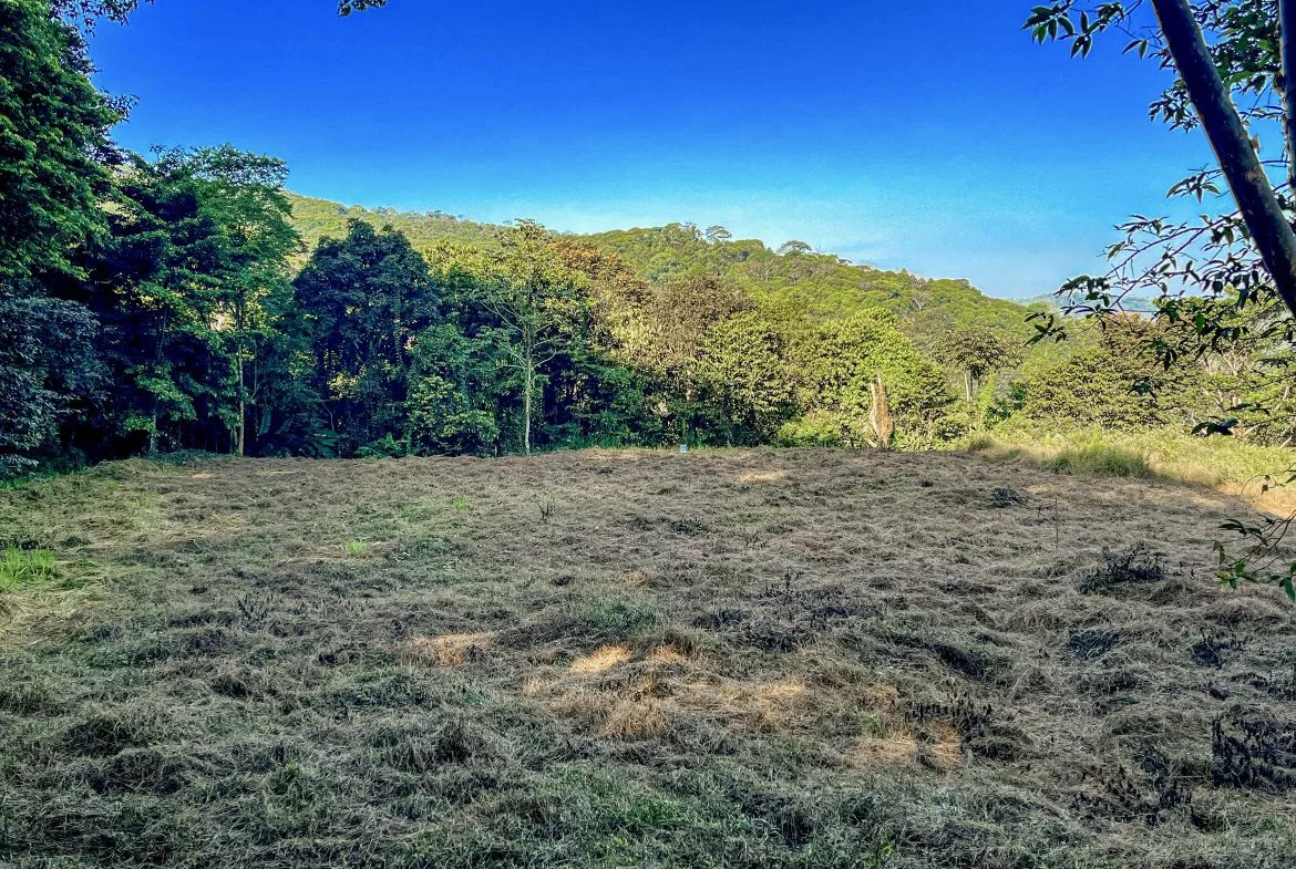 EXCEPTIONAL MOUNTAIN VIEW LOT READY TO BUILD – PRIME OPPORTUNITY NEAR DOMINICAL – 7 ACRES, photo 20
