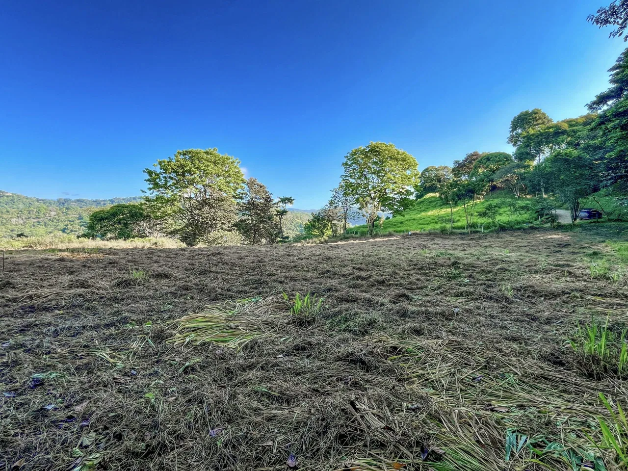 EXCEPTIONAL MOUNTAIN VIEW LOT READY TO BUILD – PRIME OPPORTUNITY NEAR DOMINICAL – 7 ACRES, photo 21