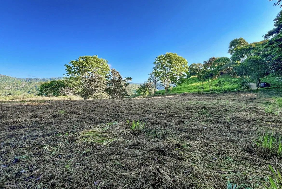 EXCEPTIONAL MOUNTAIN VIEW LOT READY TO BUILD – PRIME OPPORTUNITY NEAR DOMINICAL – 7 ACRES, photo 22