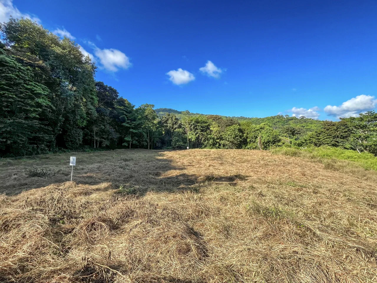 EXCEPTIONAL MOUNTAIN VIEW LOT READY TO BUILD – PRIME OPPORTUNITY NEAR DOMINICAL – 7 ACRES, photo 23