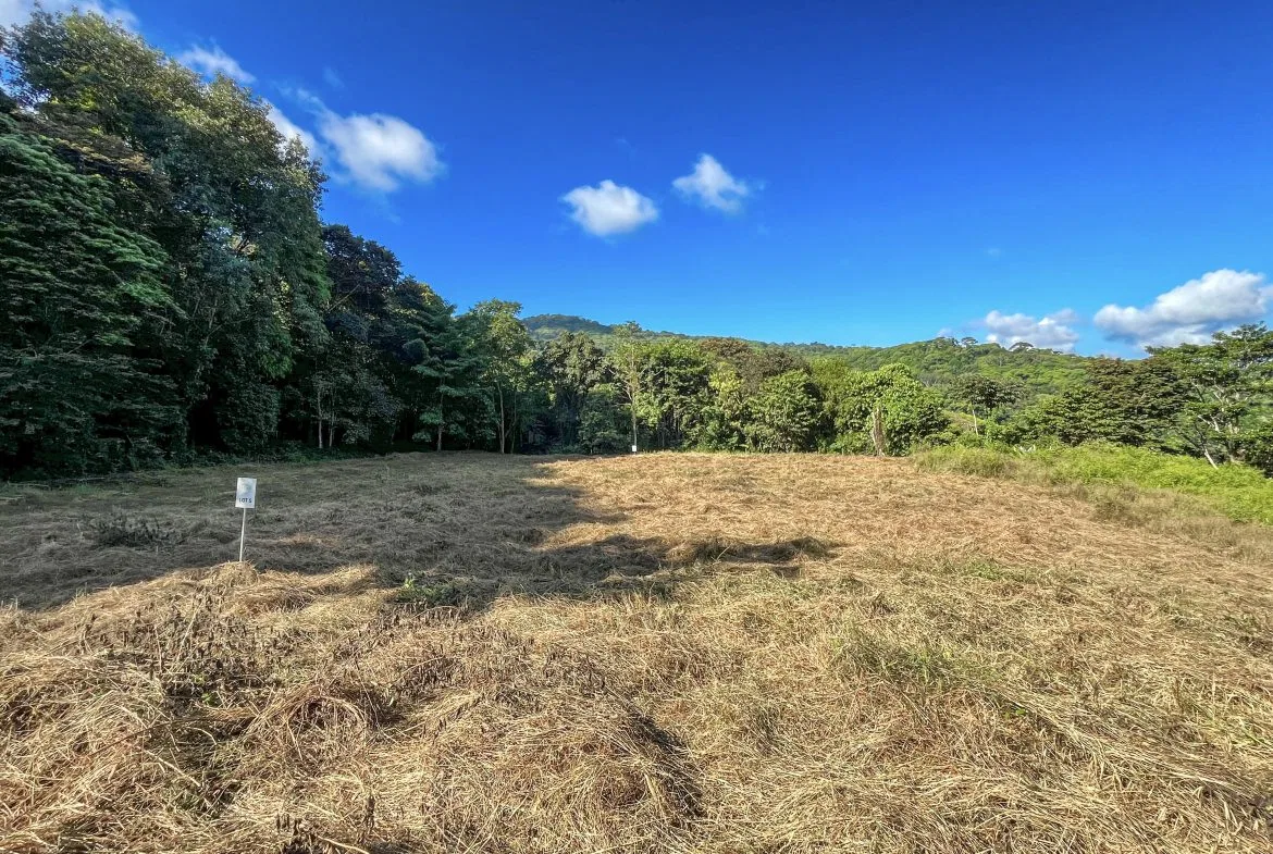 EXCEPTIONAL MOUNTAIN VIEW LOT READY TO BUILD – PRIME OPPORTUNITY NEAR DOMINICAL – 7 ACRES, photo 24