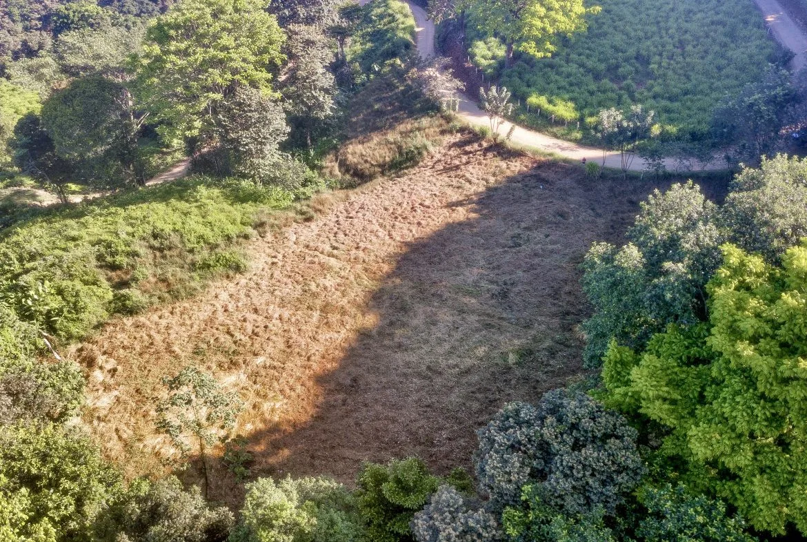 EXCEPTIONAL MOUNTAIN VIEW LOT READY TO BUILD – PRIME OPPORTUNITY NEAR DOMINICAL – 7 ACRES, photo 4
