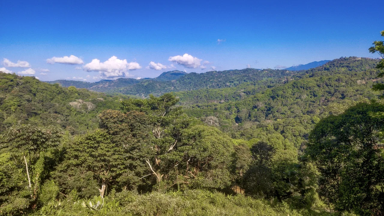 EXCEPTIONAL MOUNTAIN VIEW LOT READY TO BUILD – PRIME OPPORTUNITY NEAR DOMINICAL – 7 ACRES, photo 7