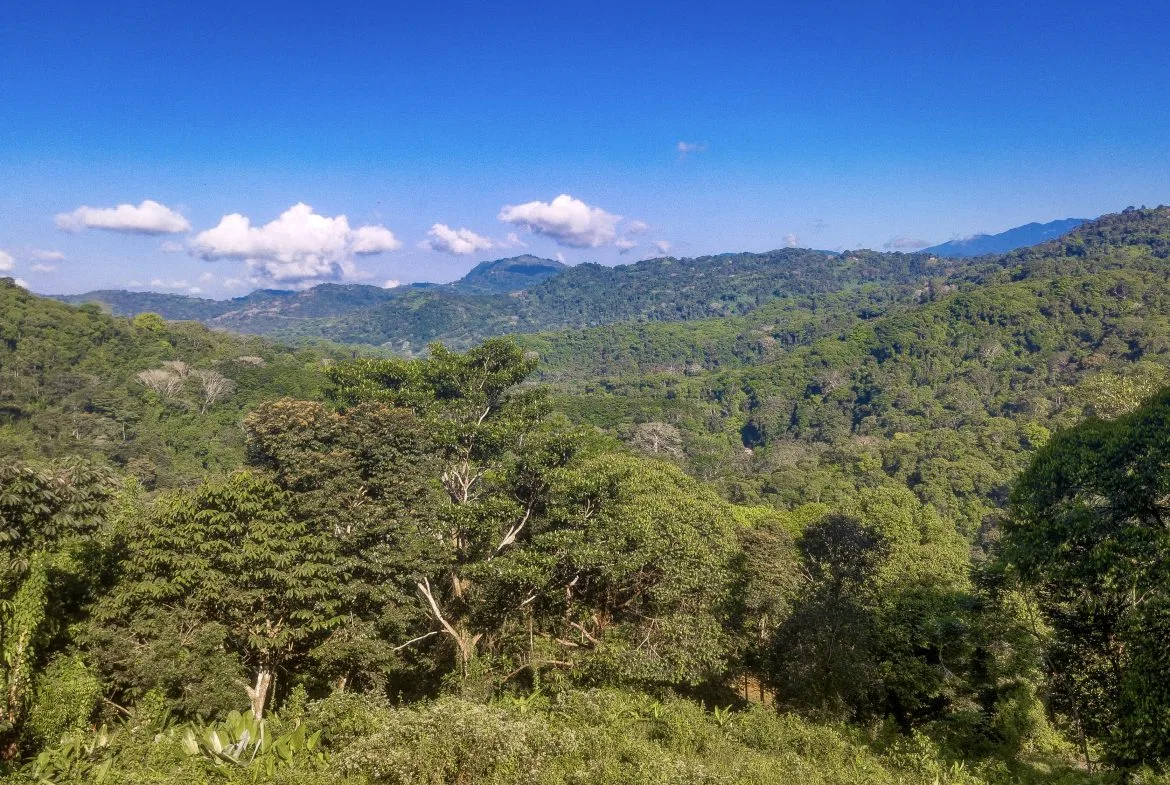 EXCEPTIONAL MOUNTAIN VIEW LOT READY TO BUILD – PRIME OPPORTUNITY NEAR DOMINICAL – 7 ACRES, photo 8