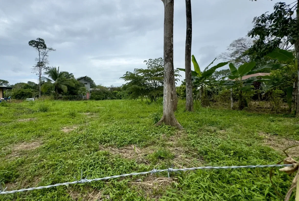 PROPERTY NEAR TO THE BEACH, IN UVITA CENTER – 0.32 ACRES, photo 4
