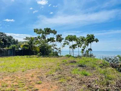 LOTE ÉPICO EN PRIMERA FILA CON VISTA AL MAR Y AL RÍO, photo 2