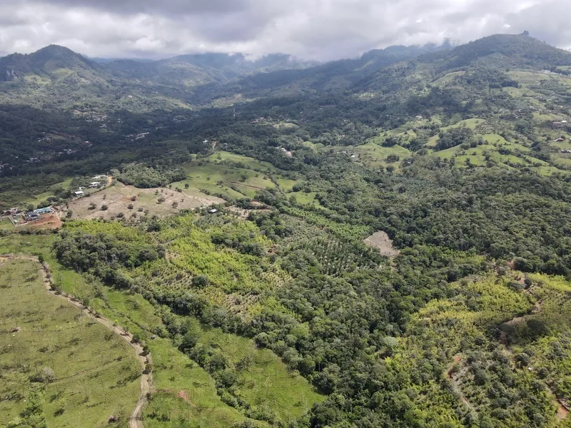 Land For Sale in Perez Zeledon, photo 2