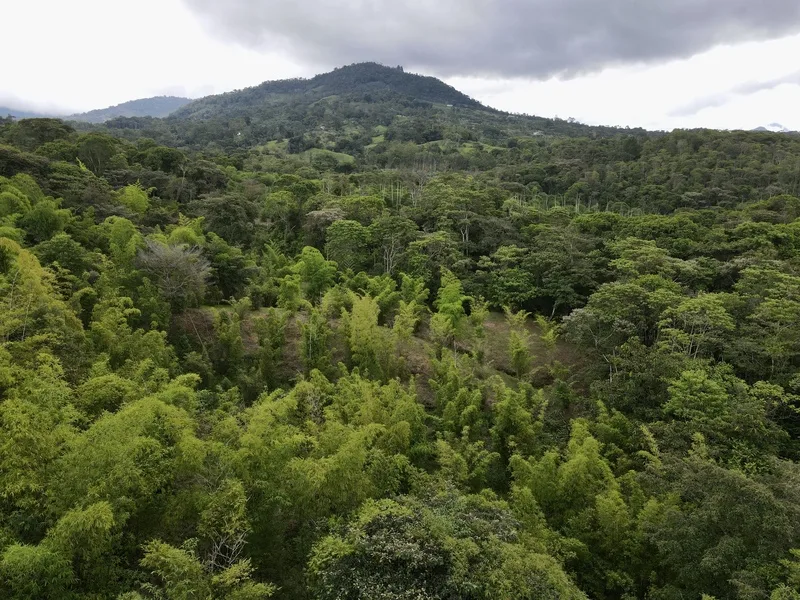 Land For Sale in Perez Zeledon, photo 11