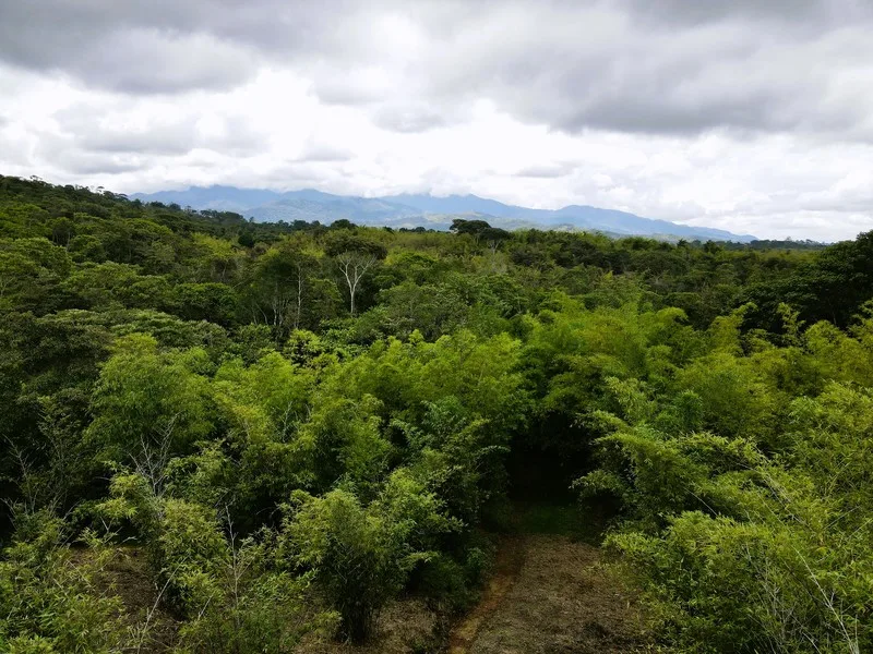 Land For Sale in Perez Zeledon, photo 12