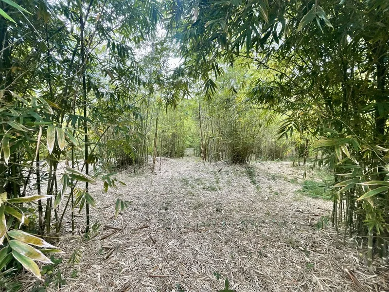Land For Sale in Perez Zeledon, photo 13