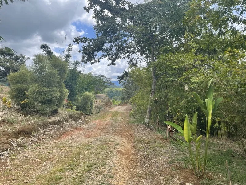 Land For Sale in Perez Zeledon, photo 14