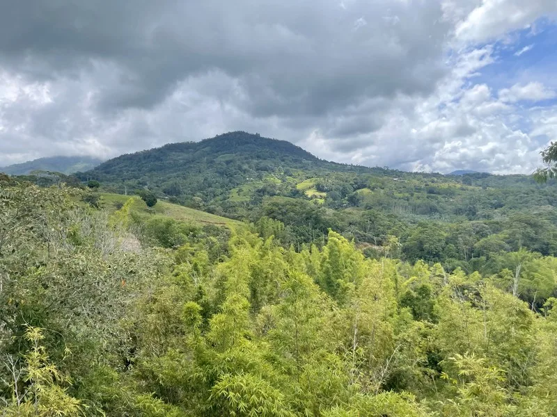 Land For Sale in Perez Zeledon, photo 15