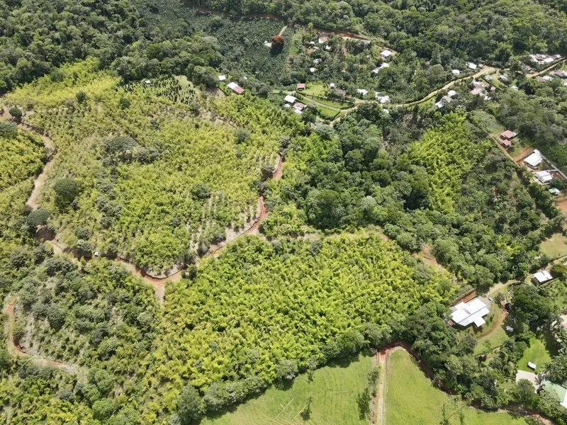 Land For Sale in Perez Zeledon, photo 4