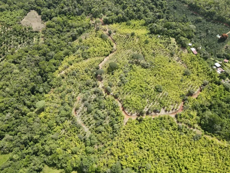 Land For Sale in Perez Zeledon, photo 5