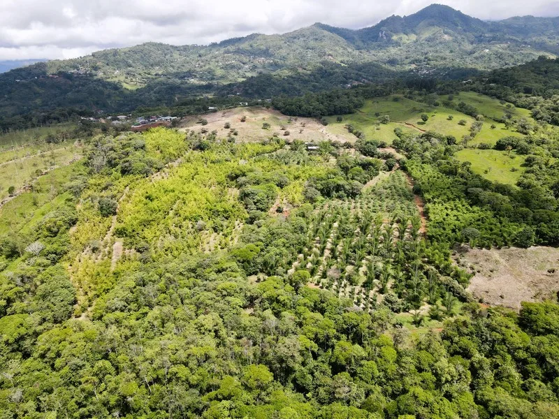 Land For Sale in Perez Zeledon, photo 6